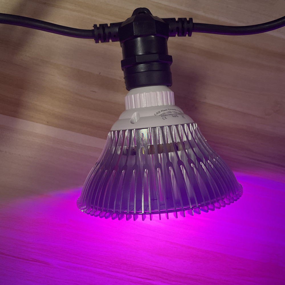 10M Cable LED String Commercia - Outdoor Lighting Cable ulasan dan harga